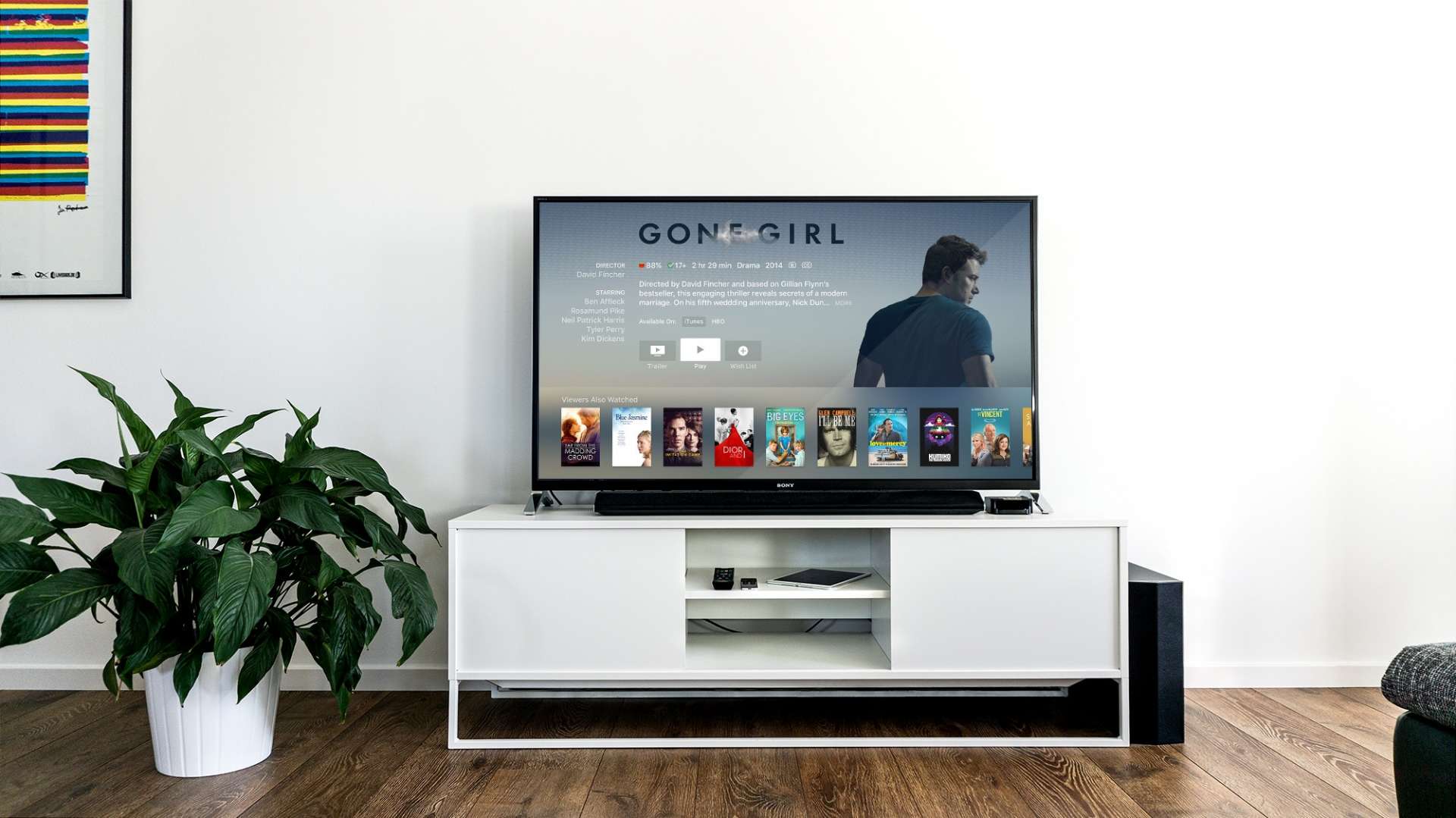 כמה טלוויזיה אתם רואים בבית? שווה את המחיר?